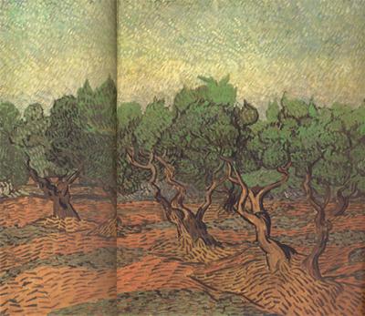 Vincent Van Gogh Olive Grove (nn04)